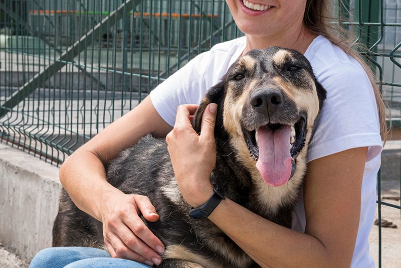 Tierheimsponsoring: Tierheime durch Versorgungspakete retten